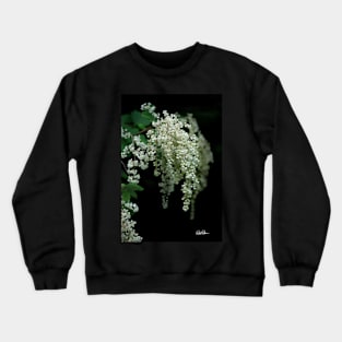 Cascade Crewneck Sweatshirt